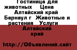 Гостиница для животных. › Цена ­ 500 - Алтайский край, Барнаул г. Животные и растения » Услуги   . Алтайский край